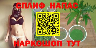 стаф Шелехов