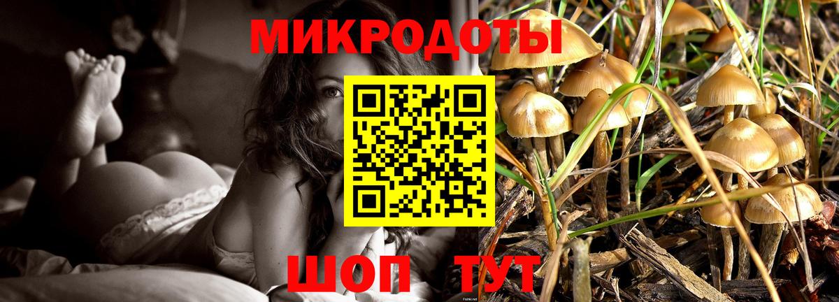 Галлюциногенные грибы Psilocybe  цена наркотик  Менделеевск  Вход с VPN 